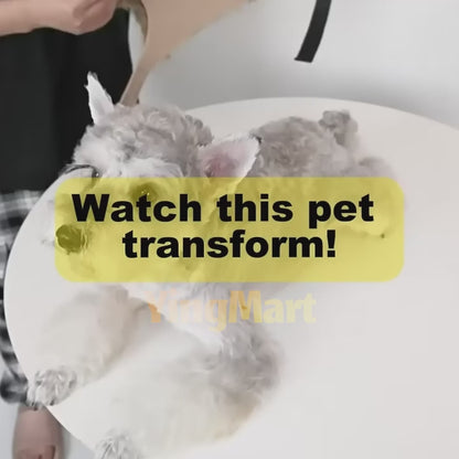 Big Spider Pet Costume for Dogs Cats Funny Halloween Cosplay Outfit Cute Pet Shirt