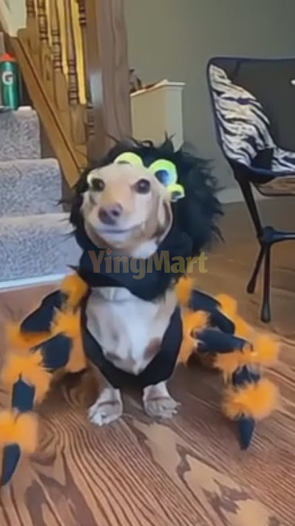 Spider Pet Costume Cat Dog Clothes Funny Halloween Cosplay Outfit Cute Dress Up Shirt