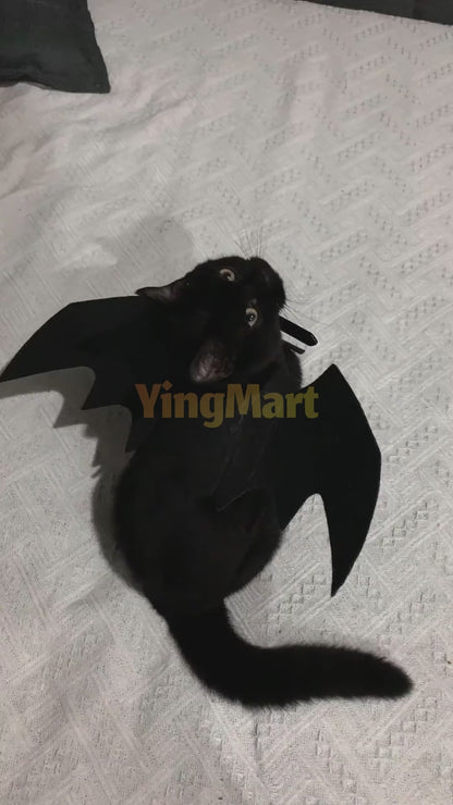 Halloween Pet Bat Wings Costume for Cats Dogs Funny Cosplay Outfit Holiday Decoration