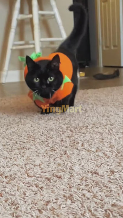 Pet Clothes Funny Pumpkin Clothes WintPumpkin Hooded Outfit for Dogs Cats Small Medium Large Funny Fleece Warm Halloween Pet Costumeer Pet Clothes Halloween Clothes Dog Clothes