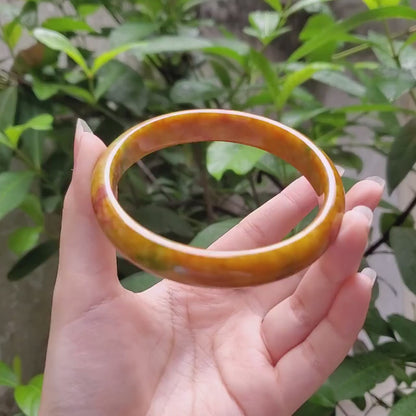 High Quality 48-72mm Jadeite Jade Bangle, Yellow Mixed Green Brown Spot, Burmese, Feng Shui Jewelry, Gift for Mom